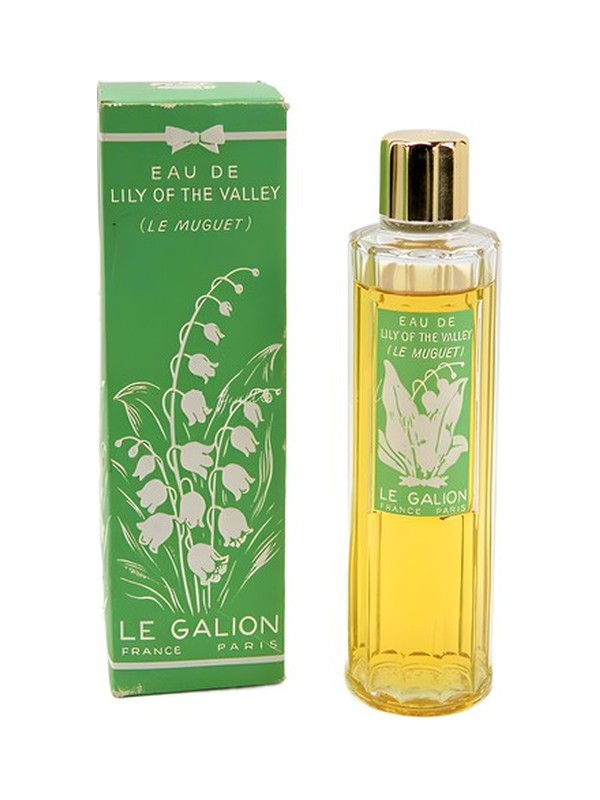 Lily of the Valley