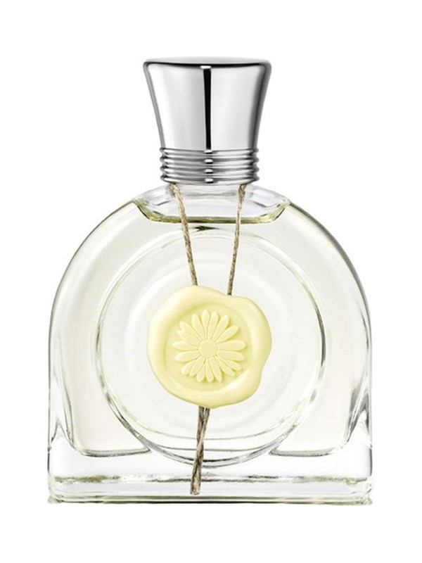 Fleur Lumière