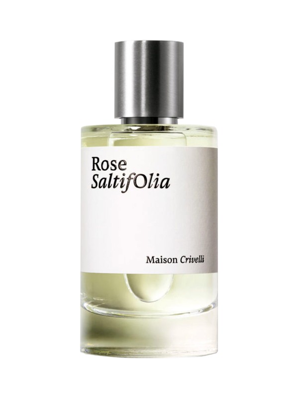 Rose SaltifOlia