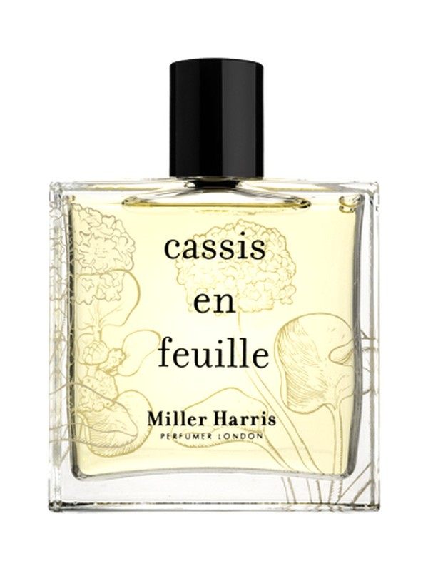 Cassis en Feuille