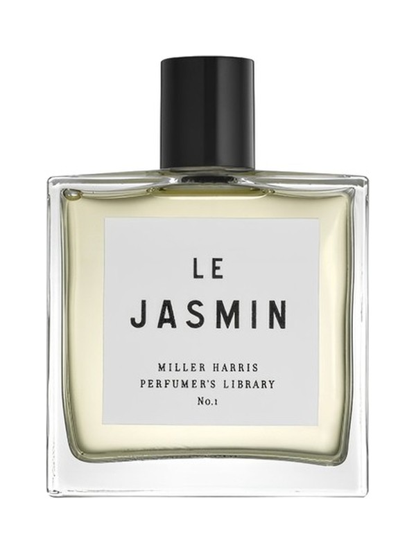 Le Jasmin