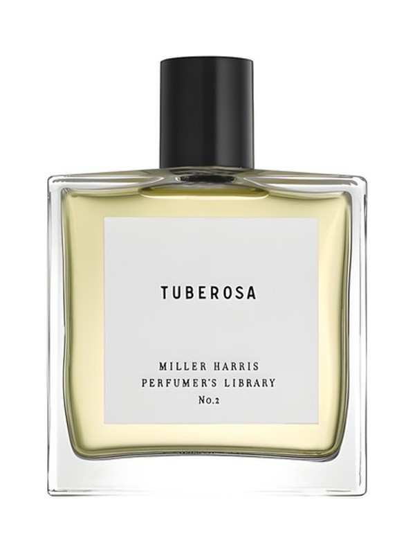 Tuberosa