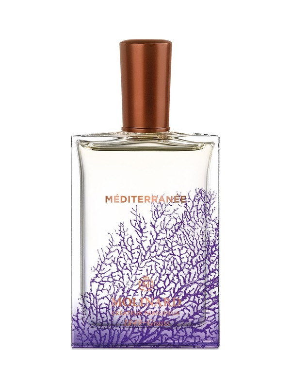 Méditerranée