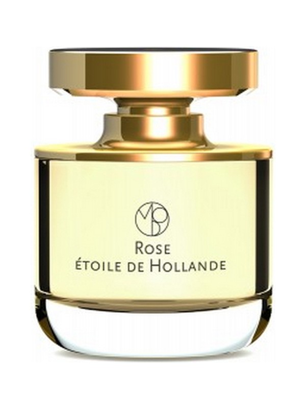 Rose Etoile de Hollande