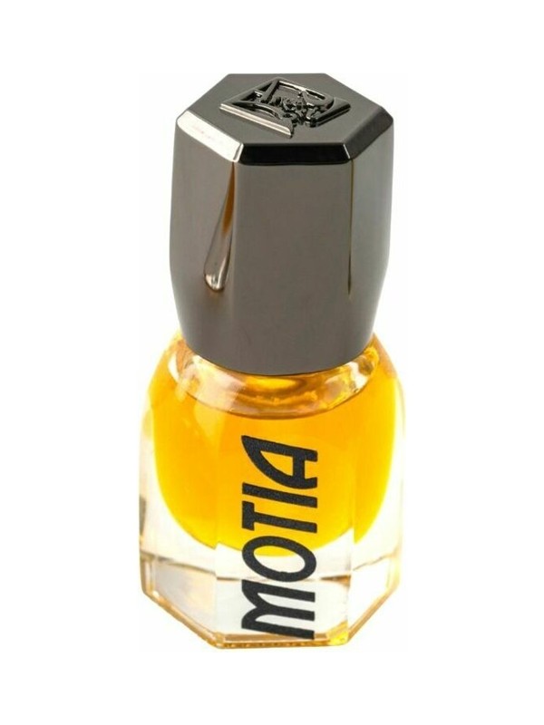 Motia Attar