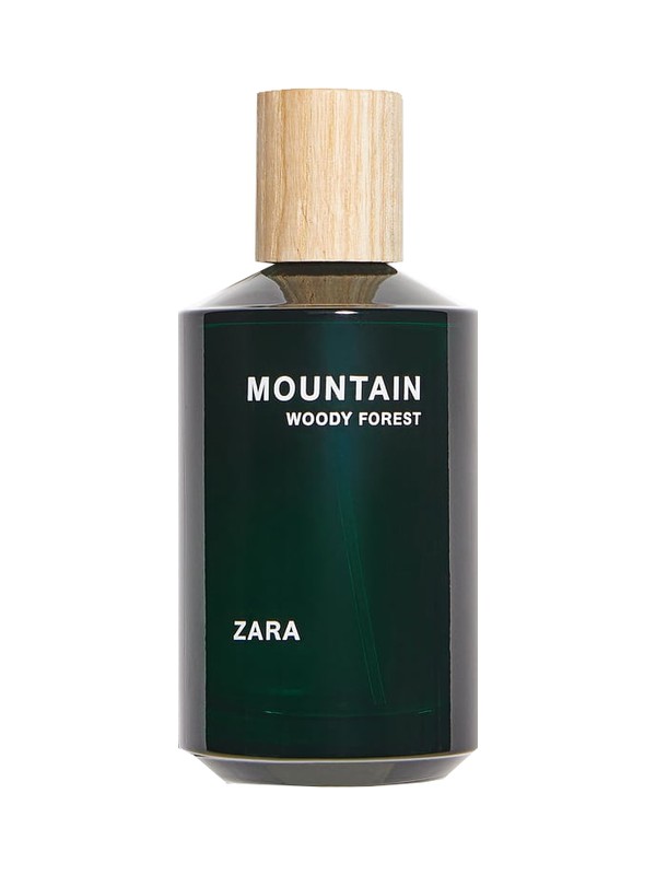 Mountain Woody Forest