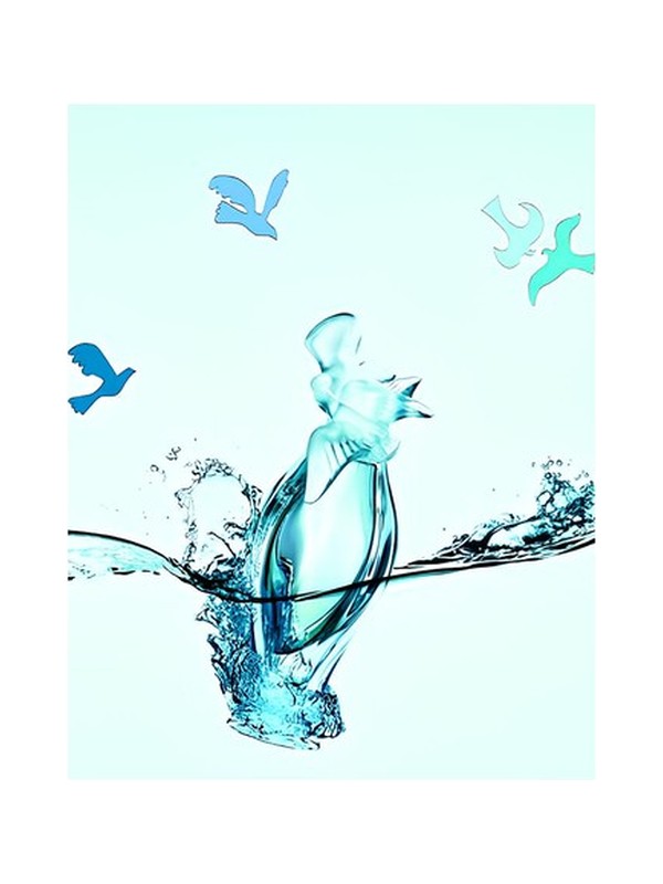 L'Eau du Temps