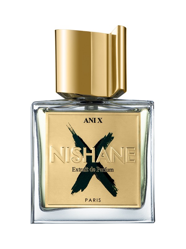 Ani X