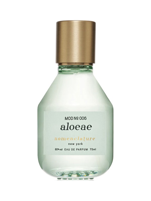 Aloeae
