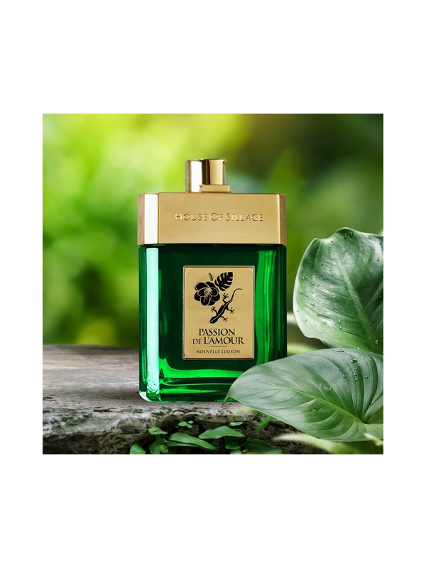 Passion De L'Amour Nouvelle Liaison Parfum