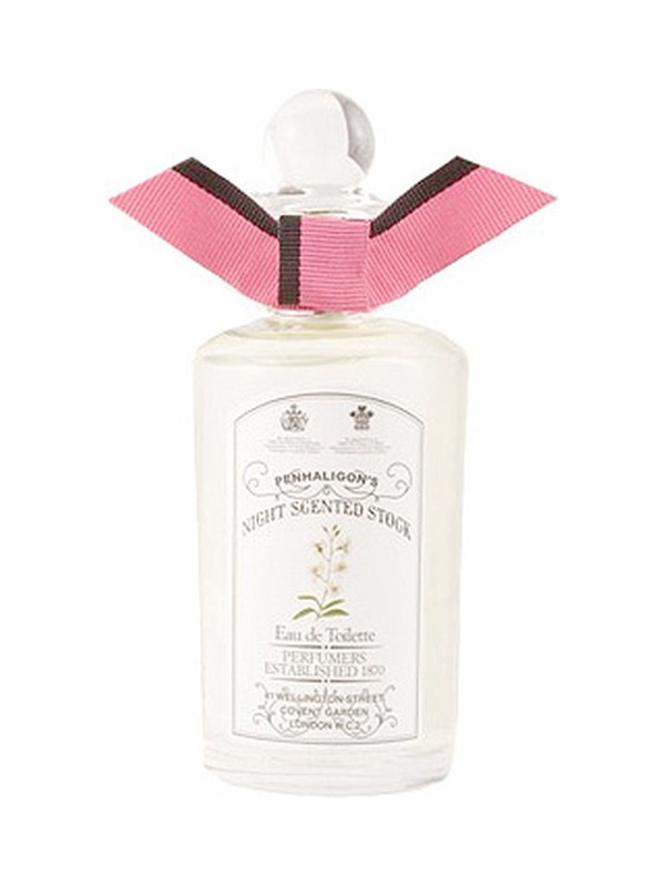 Night Scented Stock