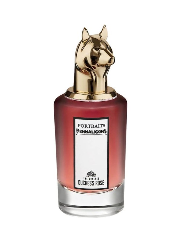 The Coveted Duchess Rose