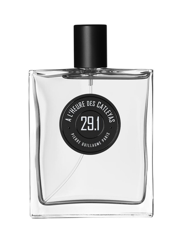 À l’heure des Catleyas 29.1