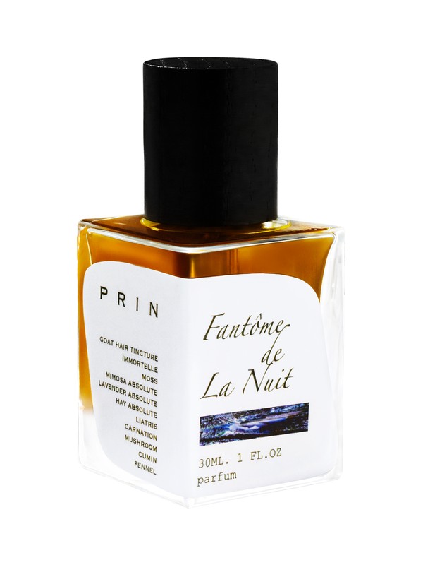 Fantôme De La Nuit