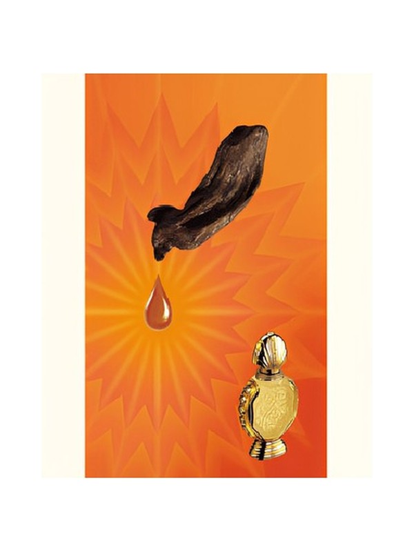 Shatha Al Oudh