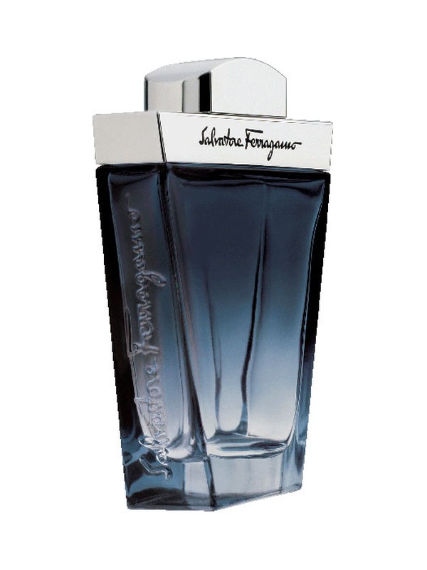 Salvatore Ferragamo Subtil Pour Homme
