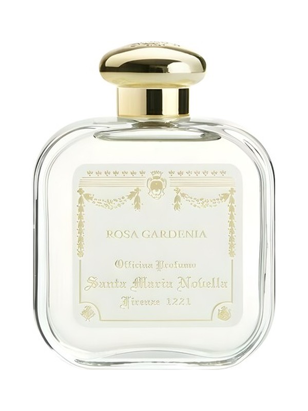 Rosa Gardenia