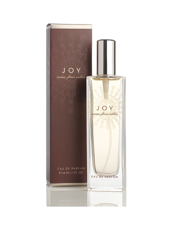 What Comes From Within: Joy