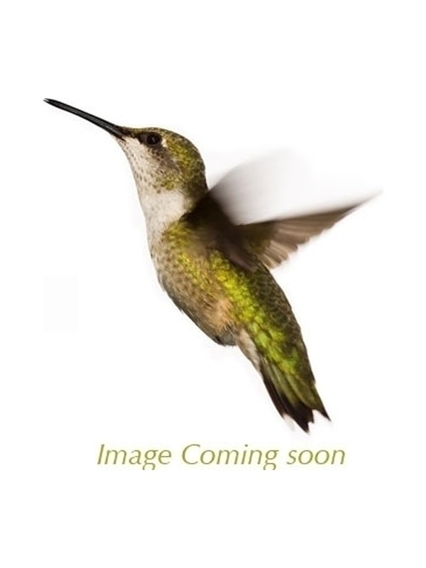 Shirosobi