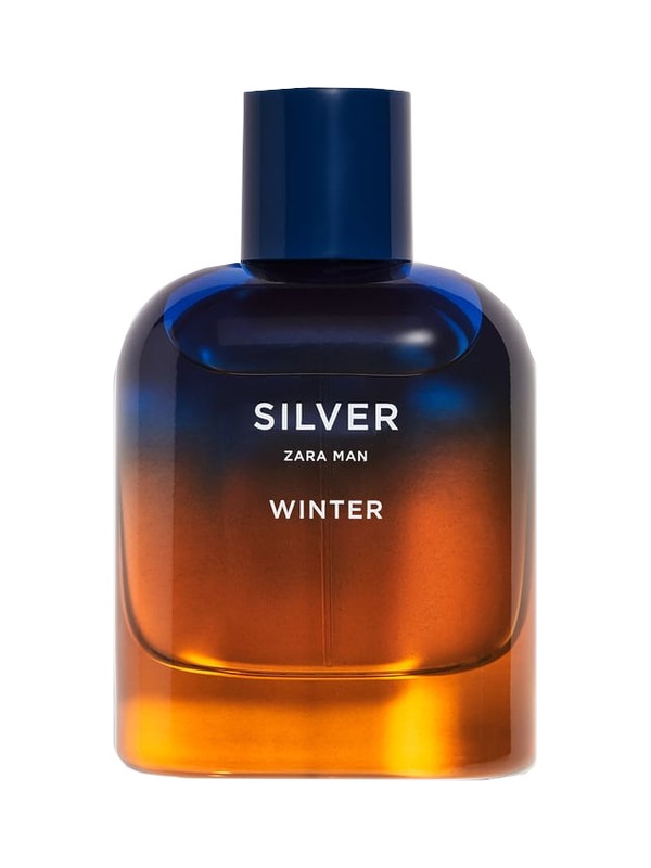 Silver Winter Zara Man