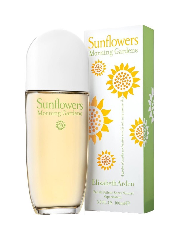 Sunflowers Morning Gardens