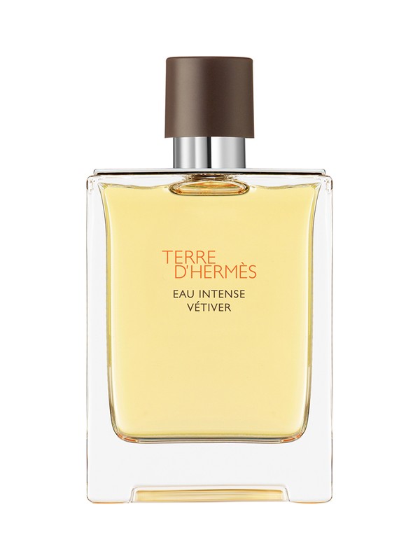 Terre D'Hermes Eau Intense Vetiver