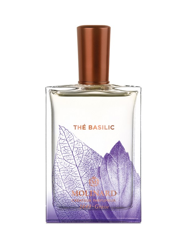 Thé Basilic