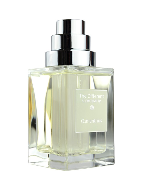 Osmanthus