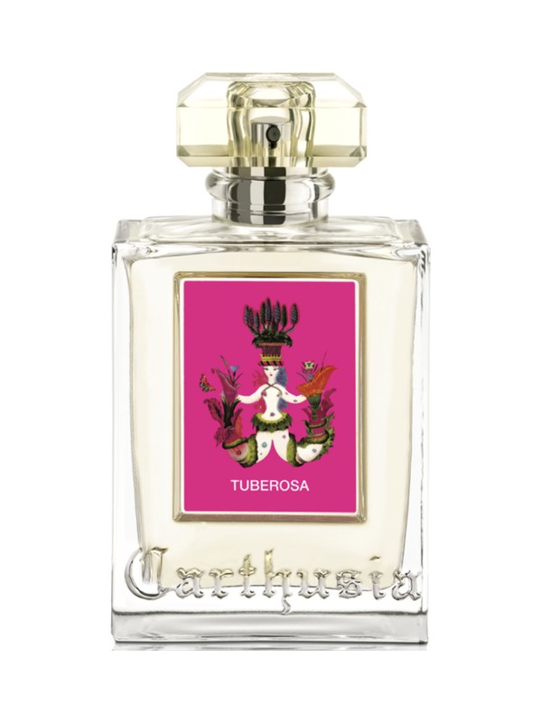 Tuberosa