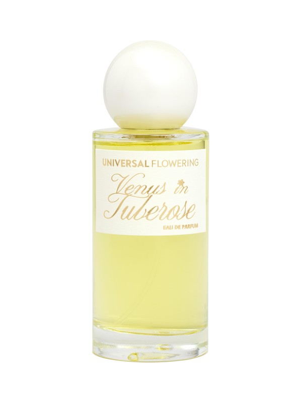 Venus in Tuberose