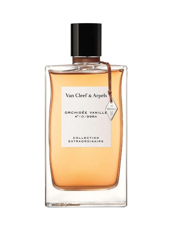 Orchidée Vanille