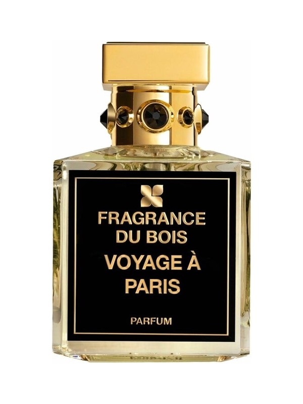 Voyage à Paris