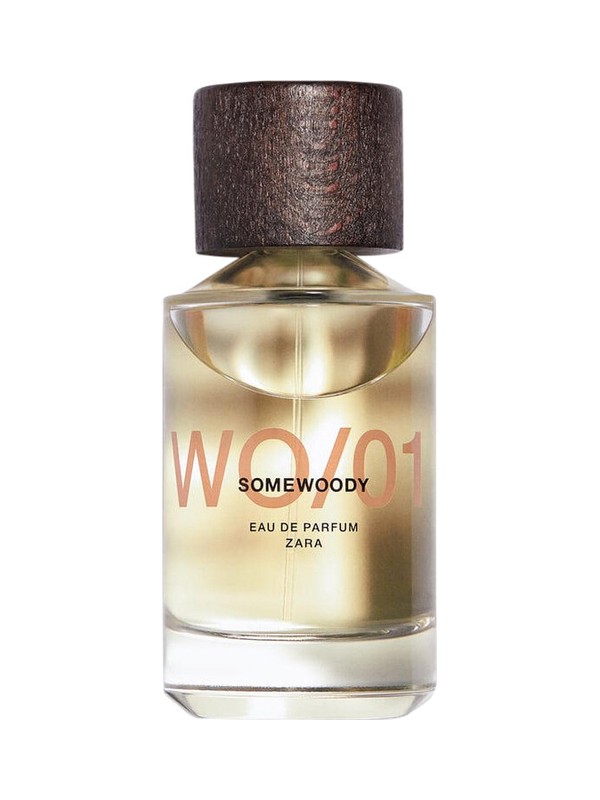 WO/01 Somewoody