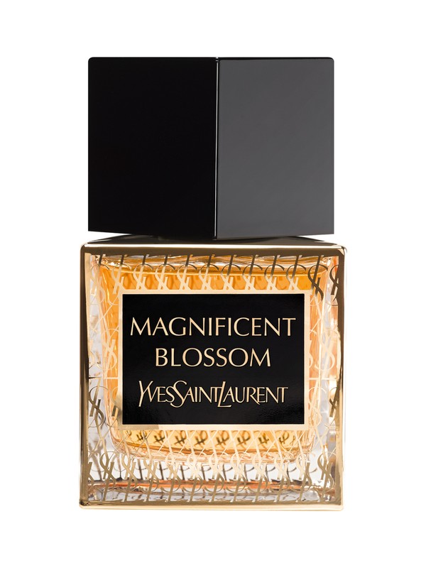 Magnificent Blossom