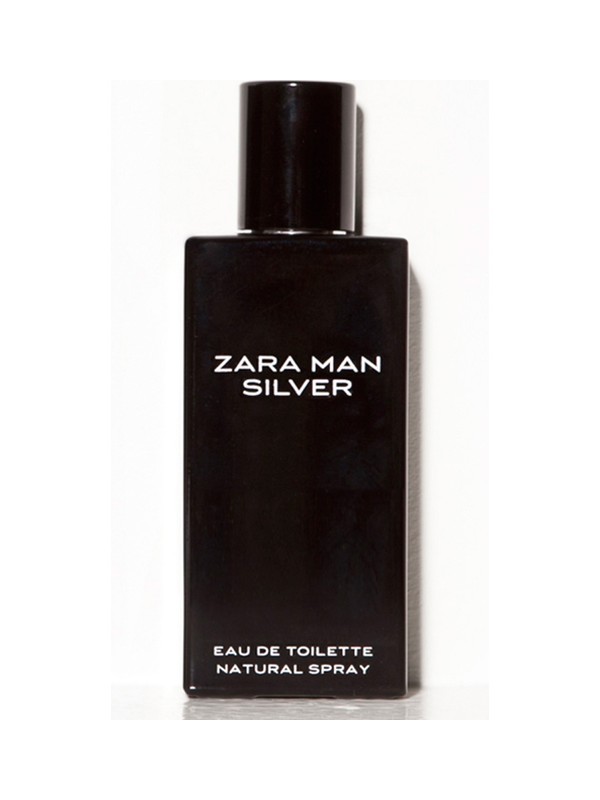 Zara Man Silver