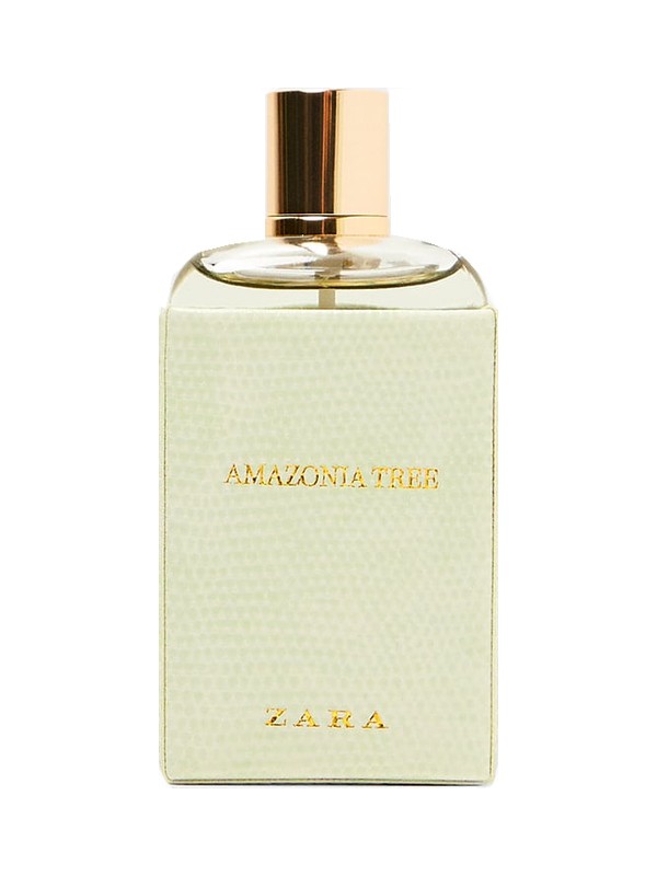 Amazonia Tree