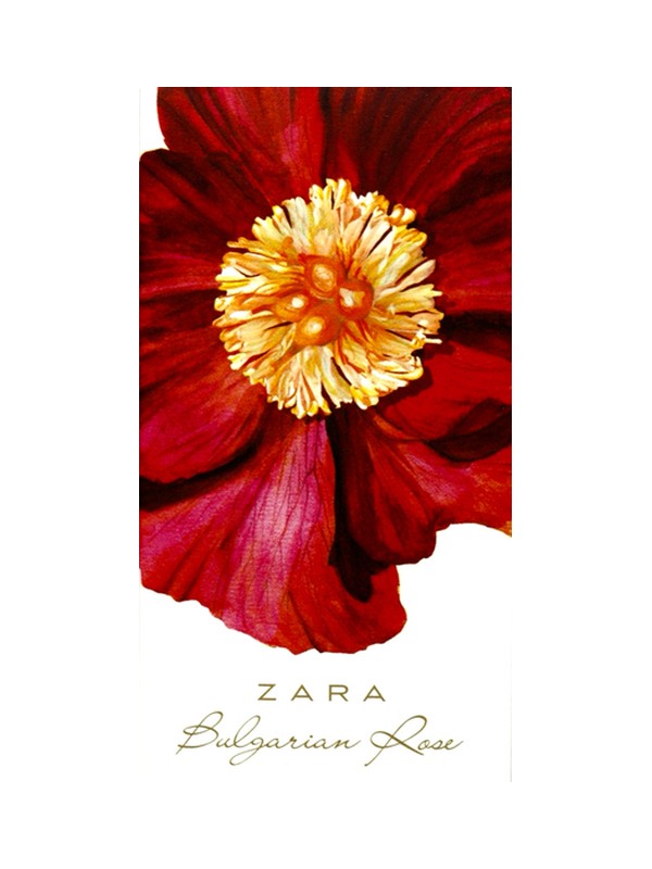 Bulgarian Rose
