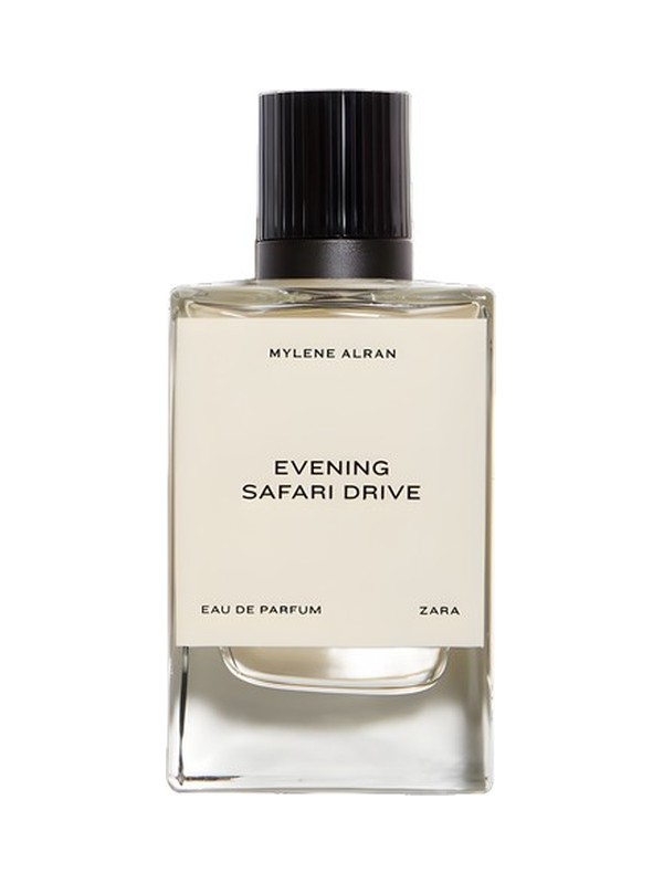 Evening Safari Drive