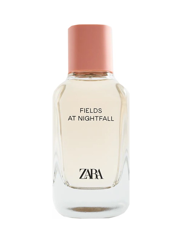 Fields at Nightfall 2020
