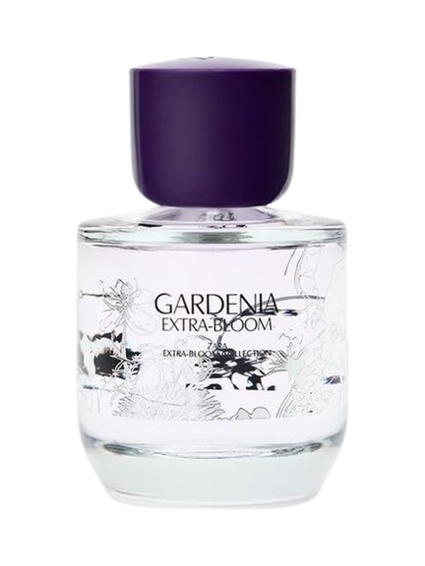 Gardenia Extra-Bloom