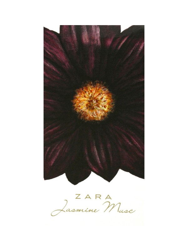Jasmine Musc