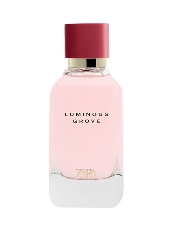 Luminous Grove