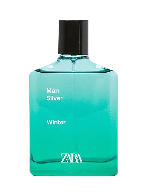 Man Silver Winter