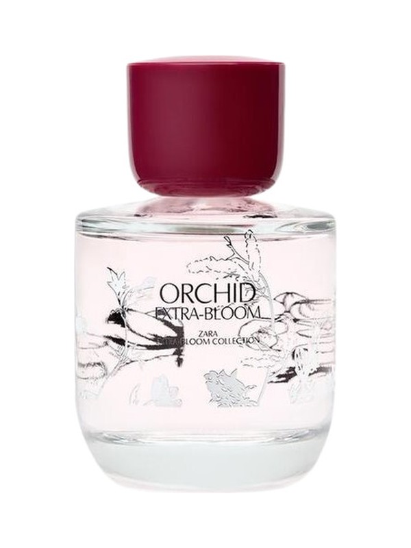 Orchid Extra-Bloom