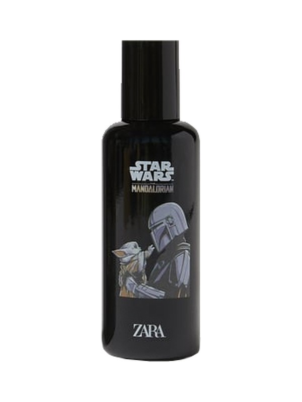Star Wars The Mandalorian