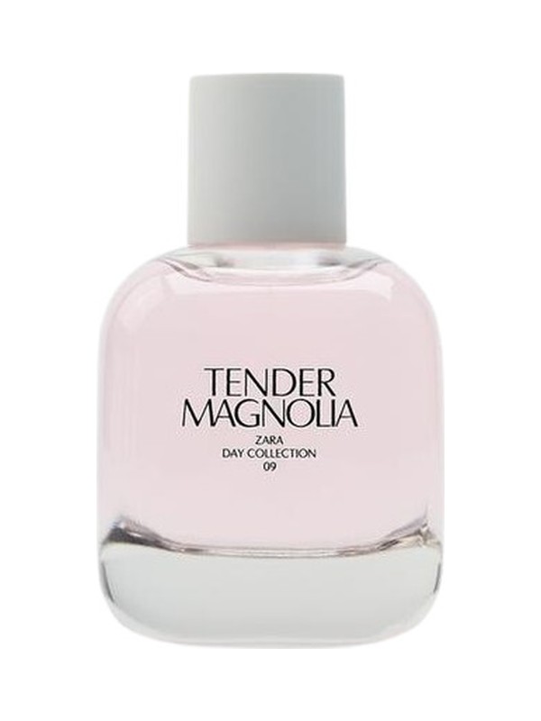 Tender Magnolia
