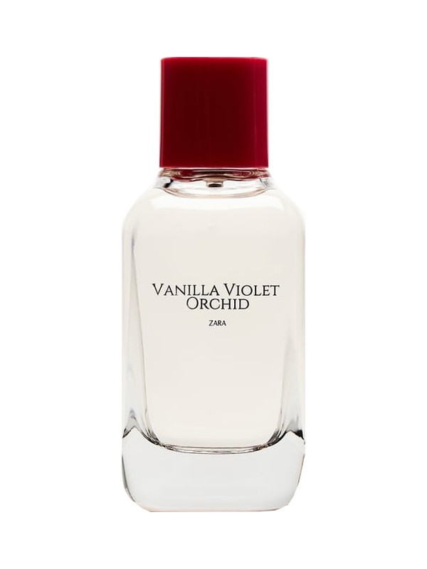 Vanilla Violet Orchid