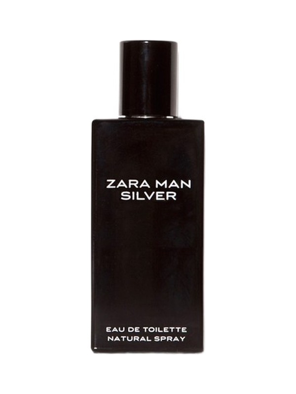 Zara Man Silver