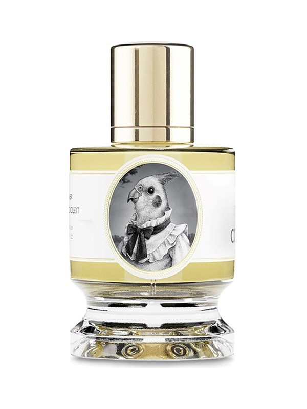 Cockatiel