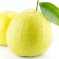 Bergamot Leaf